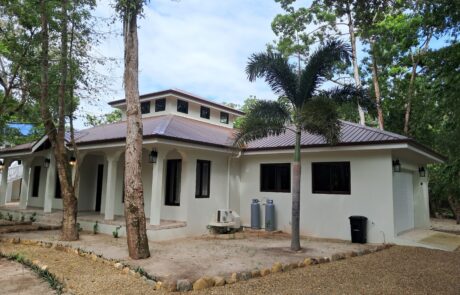 Palm house Lot #14
